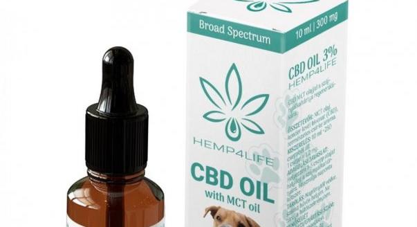 Hogyan segíthet a CBD kedvenceinknek a stressz elkerülésében az ünnepek alatt?