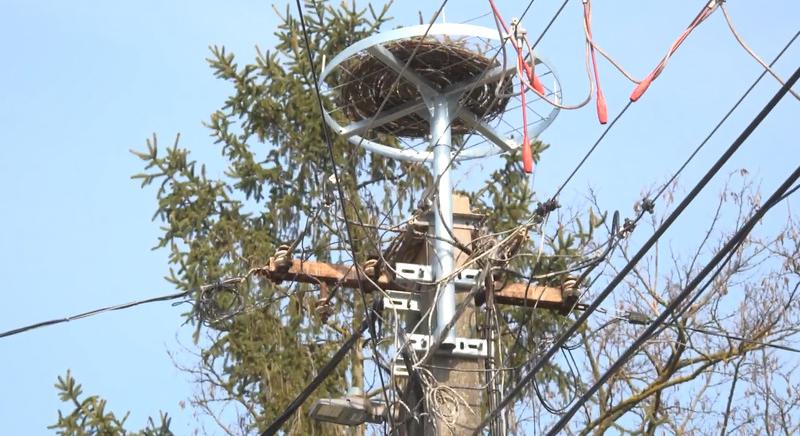 Biztonságos költőhelyek