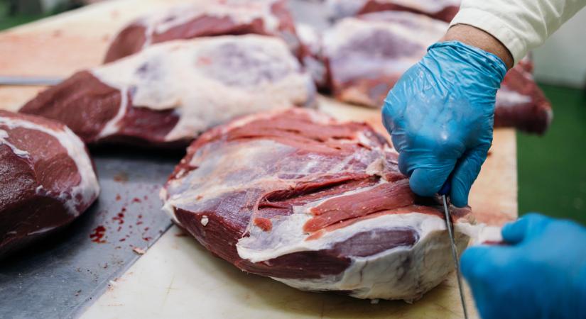 Váratlan fordulat a magyar gazdaságban: van olyan ágazat, amelyik pillanatok alatt majdnem a felére zsugorodott