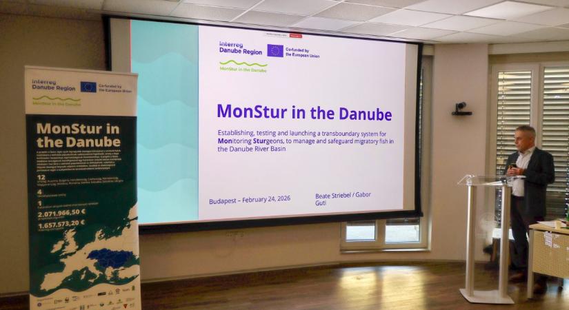 Az SZE koordinálja a kecsege hazai fajmegőrzési stratégiájának szakmai egyeztetését