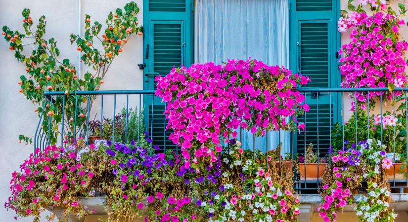 10 egyszerű balkontrükk, ami nagyobbnak és zöldebbnek mutatja a teret