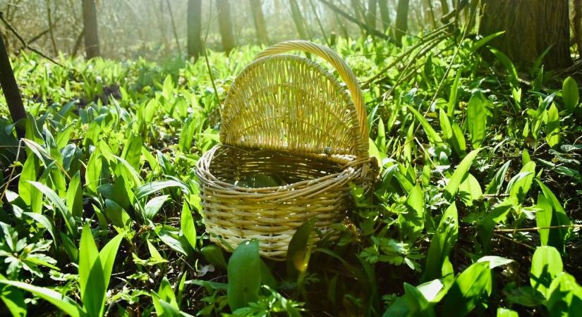 Sokan ezért kerülhetnek bajba tavasszal – ezekre figyelmeztet a Nébih!