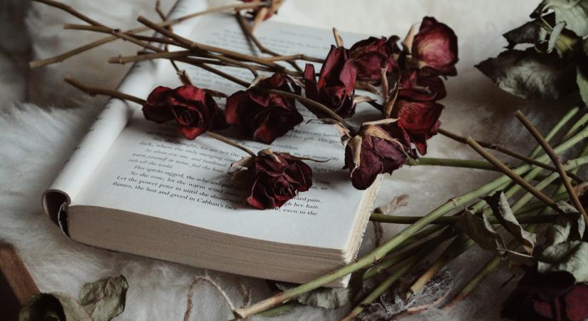 5 csillagjegy, akiknek mindig szerencsés a péntek 13.