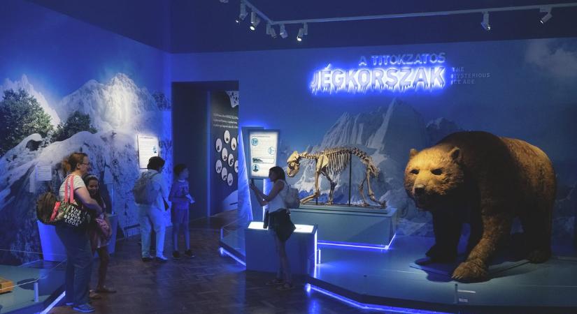 Rekordszámú látogatottság: 105 ezren nézték meg a jégkorszak-kiállítást