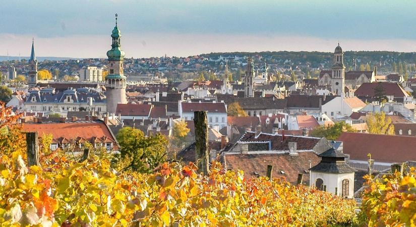 Borvidéki Ízkavalkád 2026-ban is Sopronban