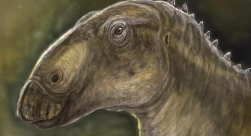 Új dinoszauruszfajt fedeztek fel Erdélyben magyar és román kutatók