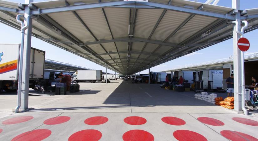 Nem aprózták el: 700 milliónyi áfát csalt el egy családi „vállalkozás” a szegedi nagybani piacon