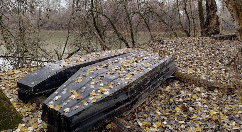 Döbbenetes rongálás a mártélyi tanösvényen: mindent összefújtak a vandálok