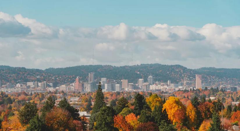 Óriási kártérítést kap a brutális támadást túlélő nő