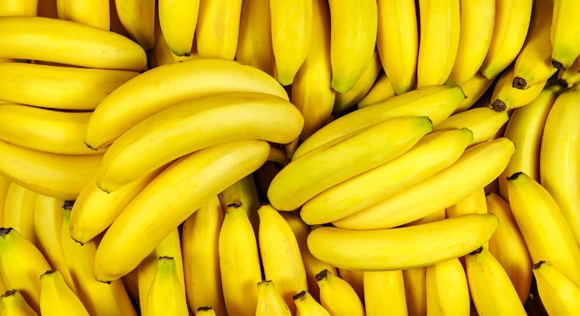 Logisztikai sakk-matt a gyümölcsök tengeri forgalmában