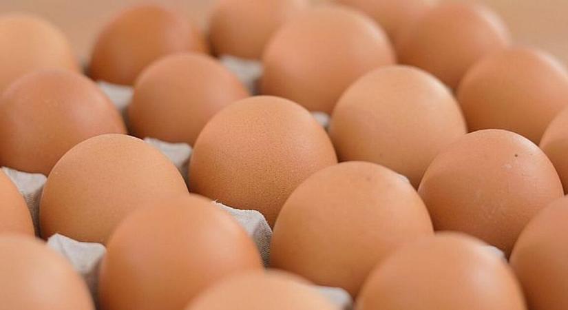 Uniós mizéria: húsvétra drágul a tojás