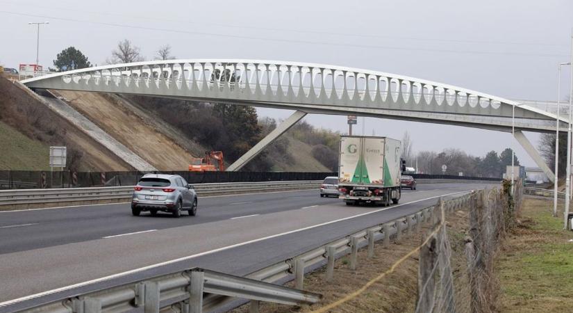 Fejér vármegye leiskolázta a Formula–1-et