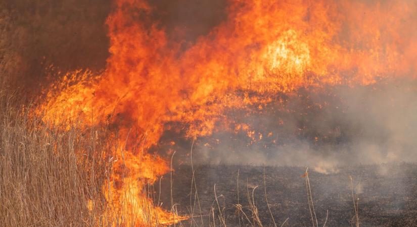 Több hektáron lángolt a száraz növényzet Szabadszálláson