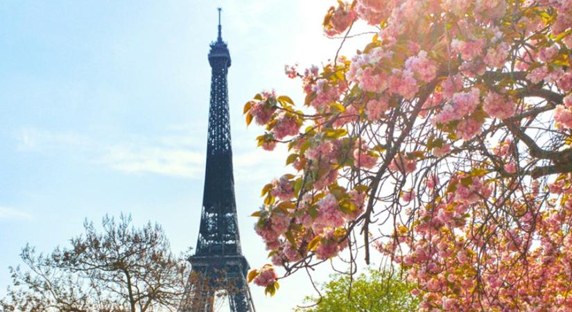 A legújabb francia filmsikerek Veszprémbe látogatnak