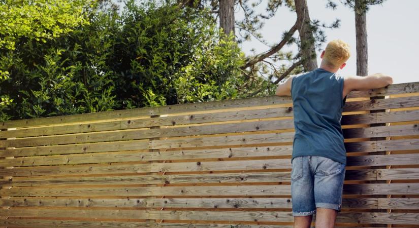 Szomszédvita: megmetszhetem a telkemre átnyúló faágakat?