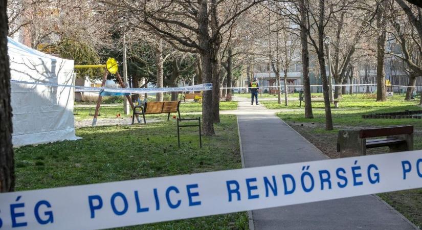 Erre nincsenek szavak: tizenéves fiú a dunántúli gyilkosság egyik gyanúsítottja, agyonverhették a játszótéren áldozatukat