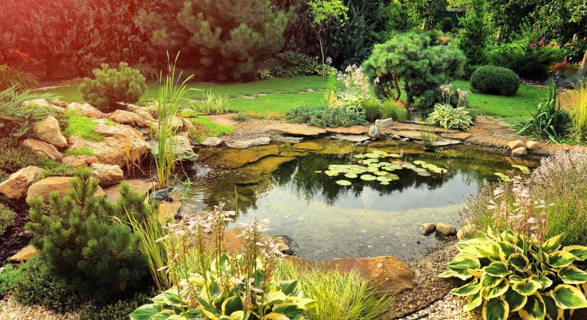 Ez az 5 kerti trend hiába szép, rengeteg pluszmunkát jelent