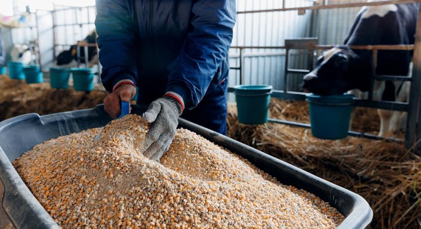 A titokzatos 60–30–10 szabály: így lesz sikeres egy állattartó gazdaság 2026-ban