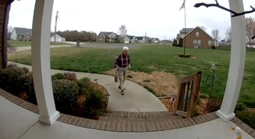 Adománycunamit indított egy TikTok-videó: 170 millió forintot kapott az idős futár