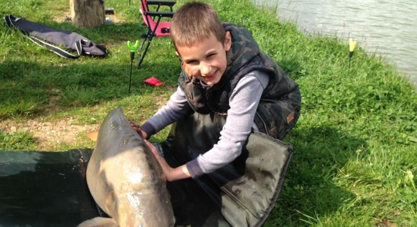 Befellegzett a pontyfogó versenyeknek a Balatonon? Ötszörös díjemelést és tiltást is szorgalmaznak a népszerű partszakaszon