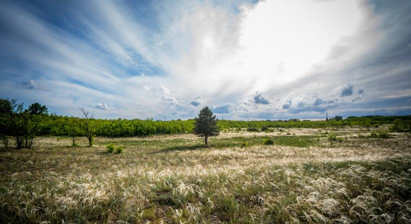 Pályázatot írt ki a gazdasági, vagyongazdálkodási és városépítő bizottság