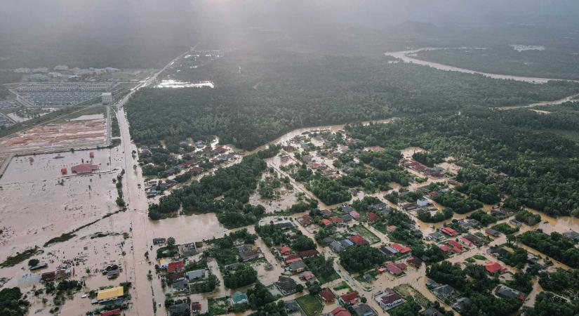 Természeti katasztrófák előrejelzésére vállalkozott a Google