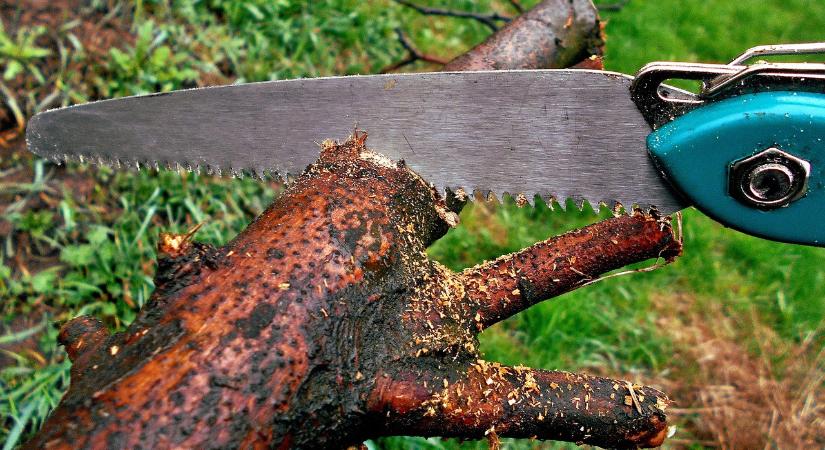 Tavaszi munkák a kertben – Nagykutasi Viktor kertész szakíró adott tanácsokat