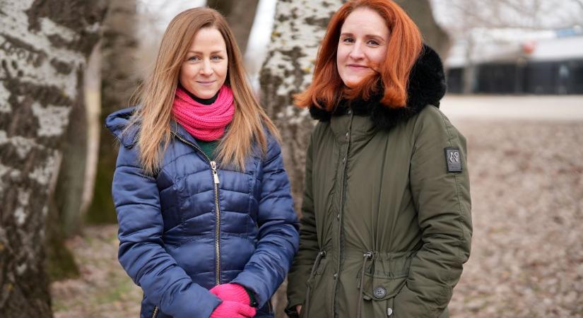 Zöld körkép – Szervezeti háttér, szezonális munkák és faápolás