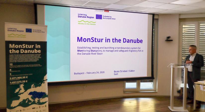 Rejtélyes vándorok a Duna mélyén: nagyszabású terv készül a magyar tokfélék védelmére