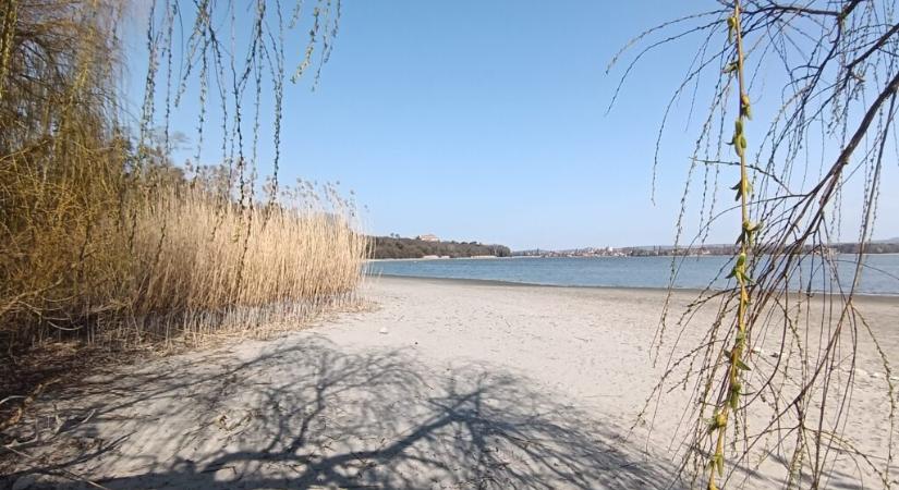 Természetalapú, adatokra épülő városierdő-kezelés indult a tatai Öreg-tónál