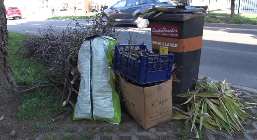 Népszerű szolgáltatás