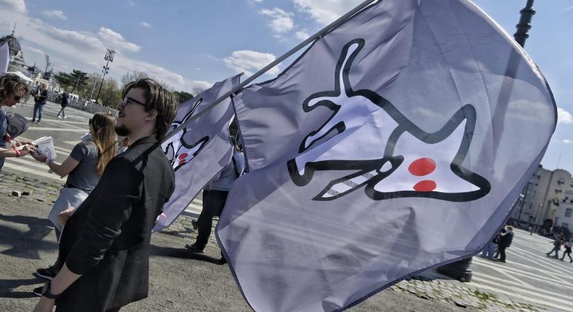 Feljelentést tesz az MKKP képviselőjelöltje az ellenük indított fellebbezési akció miatt