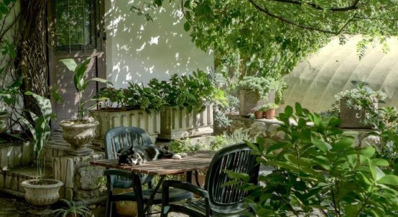 Mezítláb a jövőben – így alakul át a kert 2026-ban