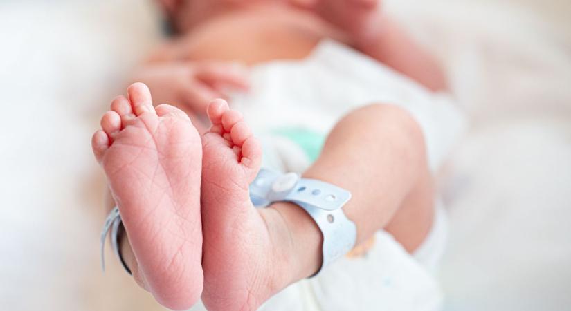 Három apróság sírt fel Sopronban szerdán és csütörtökön