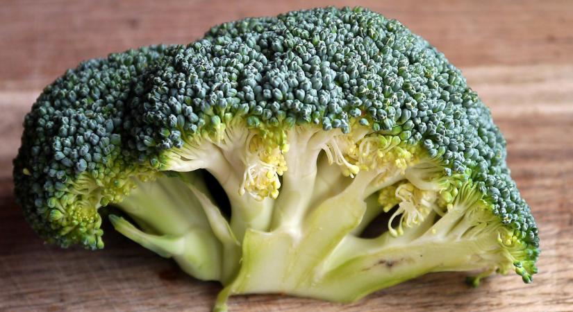 10 étel, ami kitisztítja a vastagbeledet: a brokkoli valódi csodaszer az emésztés számára