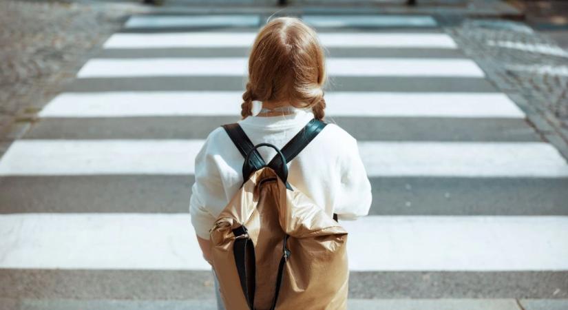 Okoszebrát kap Sajóörös