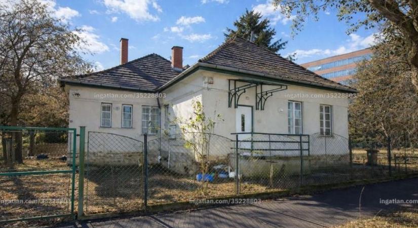 Kész aranybánya ez a különleges veszprémi ház, 4 lakássá lehet alakítani (fotók)