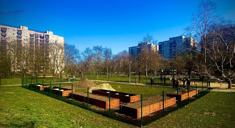 Szintet lép a közösségi élet! Nem akármilyen kert épül Debrecenben – fotókkal, videóval