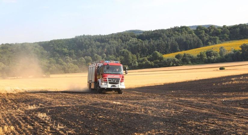 Hat hektáron pusztított a tűz Baranyában