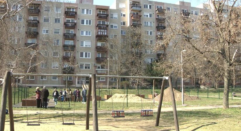 Még zöldebb a Tócós kertje: 15 millió forintból újabb közösségi kertet alakítanak ki a városrészben– videóval