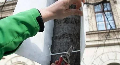 Budapesten levágják a fákra gyorskötözőzött választási plakátokat