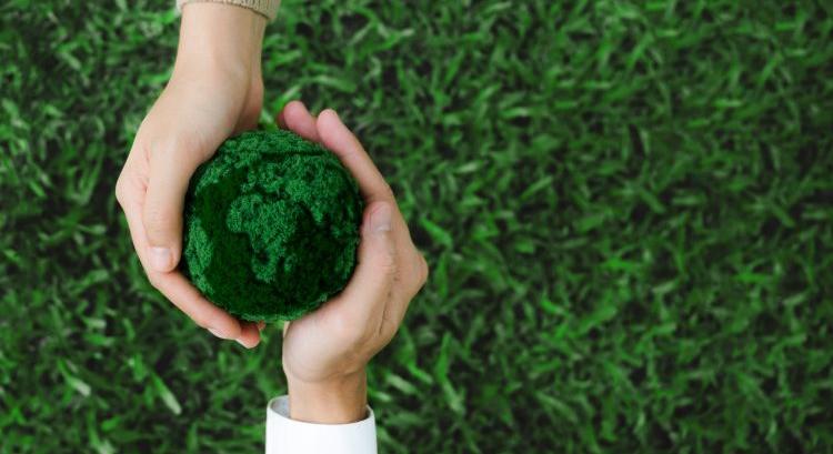 Fenntartható családi nap a múzeumban