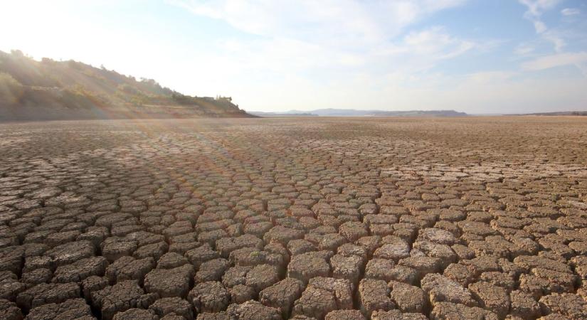 Hatalmas gond van a földeken: a tavaszi napsütés kiszárítja a talajt