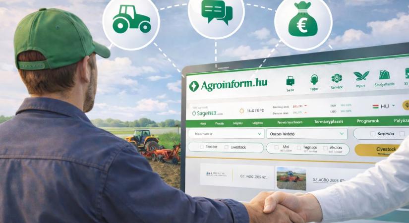 "Ez az első platform, ami szóba kerül” – Könnyedén sikerre viheted üzleted a Piactérrel!