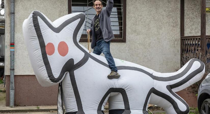 Újabb utcákban lesz fizetős a parkolás a XII. kerületben