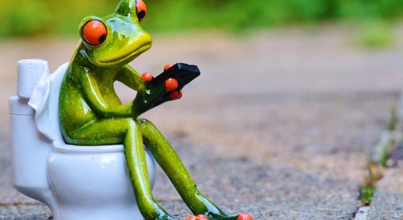 Így válthatja le a hagyományos WC-t egy különleges kanadai innováció