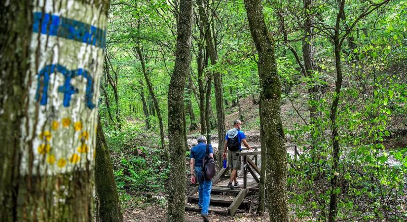 Végre itt a jó idő, máris indul a kirándulószezon