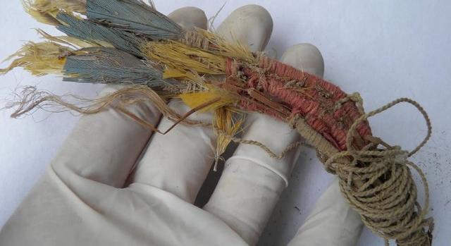 DNS-vizsgálat bizonyítja az élő papagájok andoki kereskedelmét