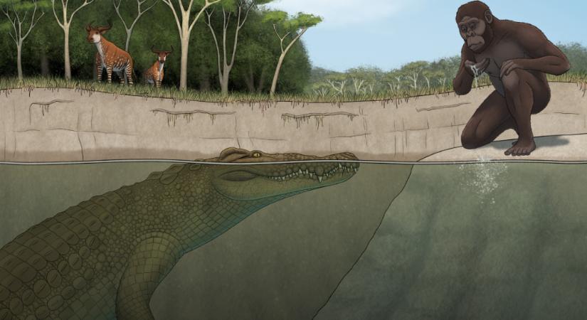 Az emberek elődeire vadászhatott ez az óriási őskrokodil