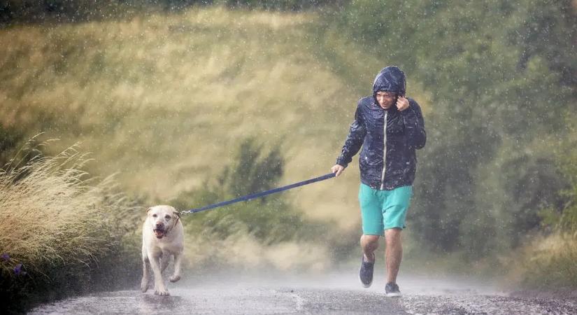 21 fokos meleg, zápor, zivatar: Itt a hivatalos időjárási menetrend a március 15-i hétvégére